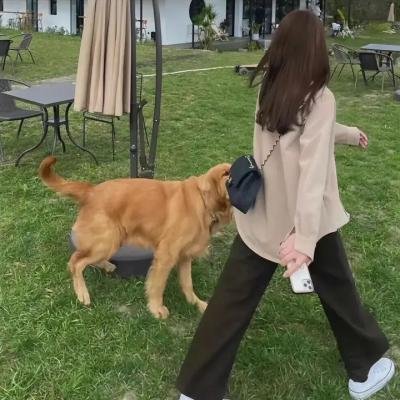 海豹突击队第二季